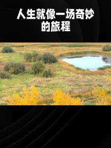 细菌污染背后的故事