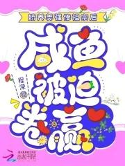 自己的老婆自己养免费阅读