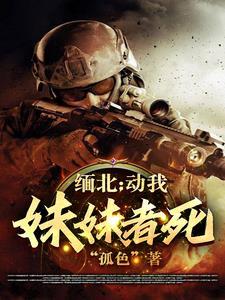 乱世英雄的故事