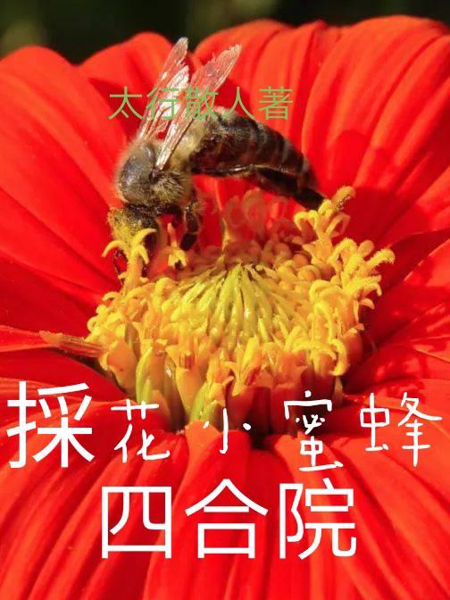 踏雪寻梅