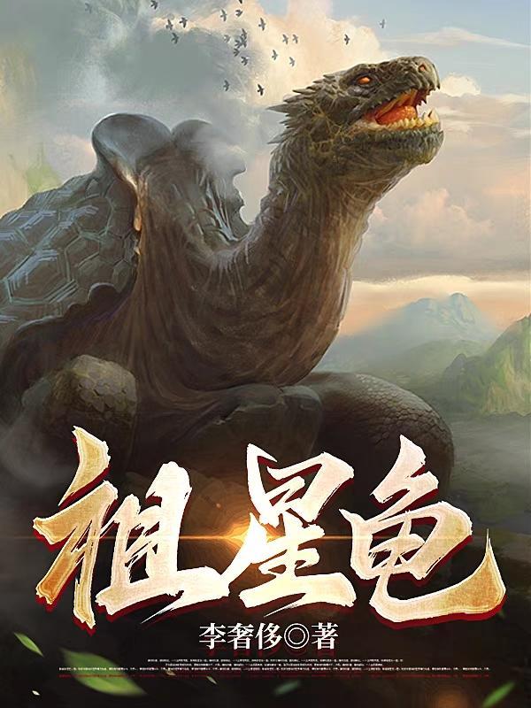 梦想绿茵场之重返伯纳乌txt