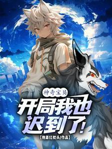 晚章主要讲什么