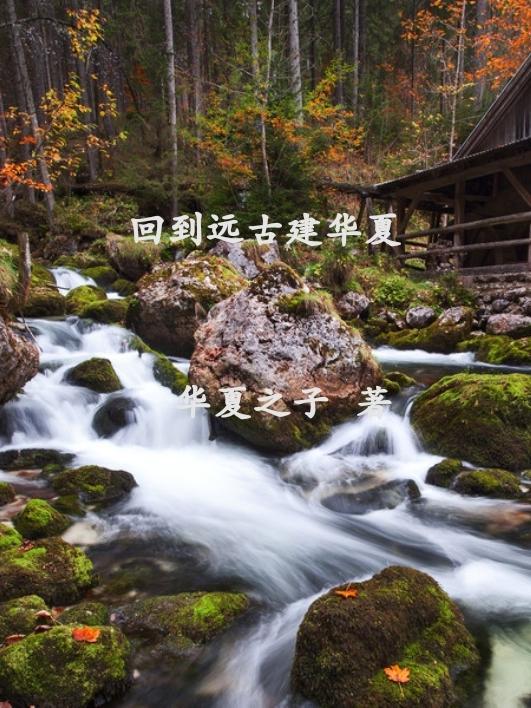 压寨夫人最美