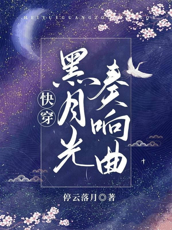 电视剧紫云红花开