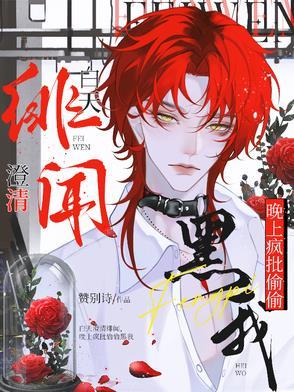 天降神童动漫