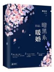 我夫郎是二嫁[穿书