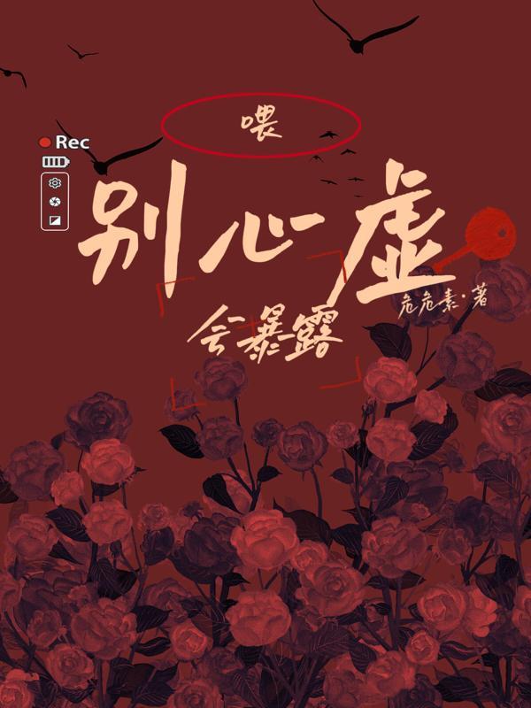 帝少的神秘丑妻全文免费阅读