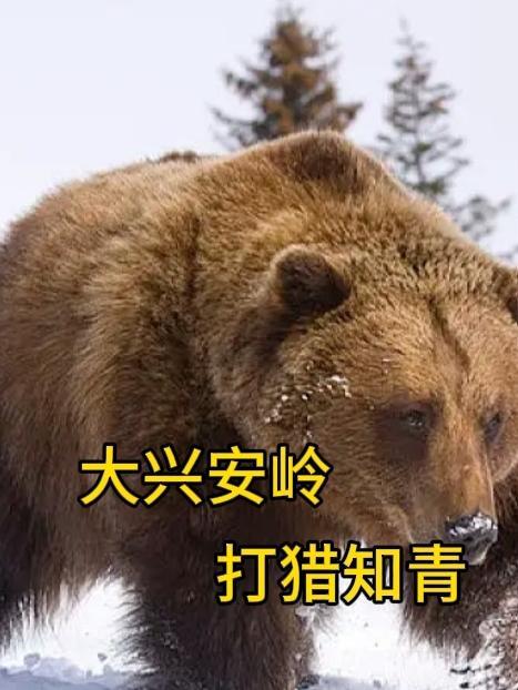抗日之兵王传奇