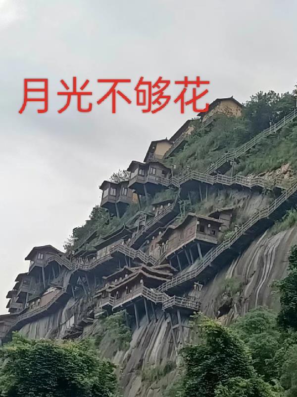 小傻子也可以被豪门团宠吗?