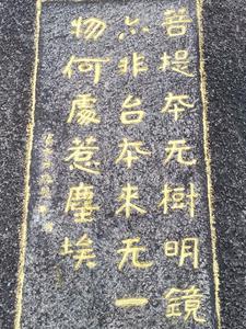 谍海孤雁最新章节