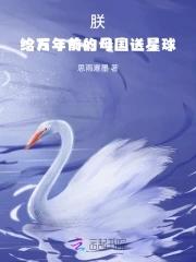 你看见我的猫了吗txt
