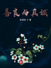你看见我的猫了吗英文版