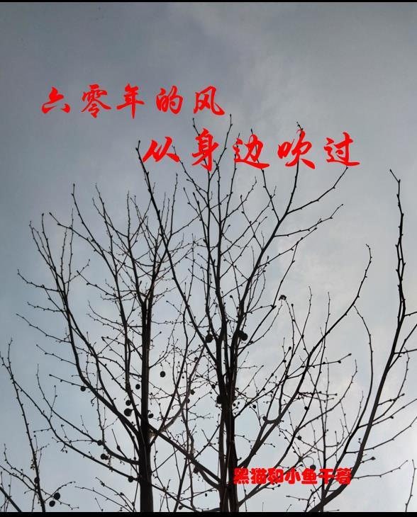 心坟番外三