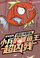 邂逅一杯茶的时光