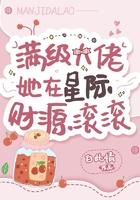 一婚还比一婚高晨雾的光完整版全文阅读