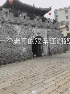 良琴择木简介