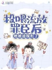 天鹅泪作者