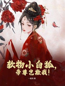 我家少年郎免费阅读
